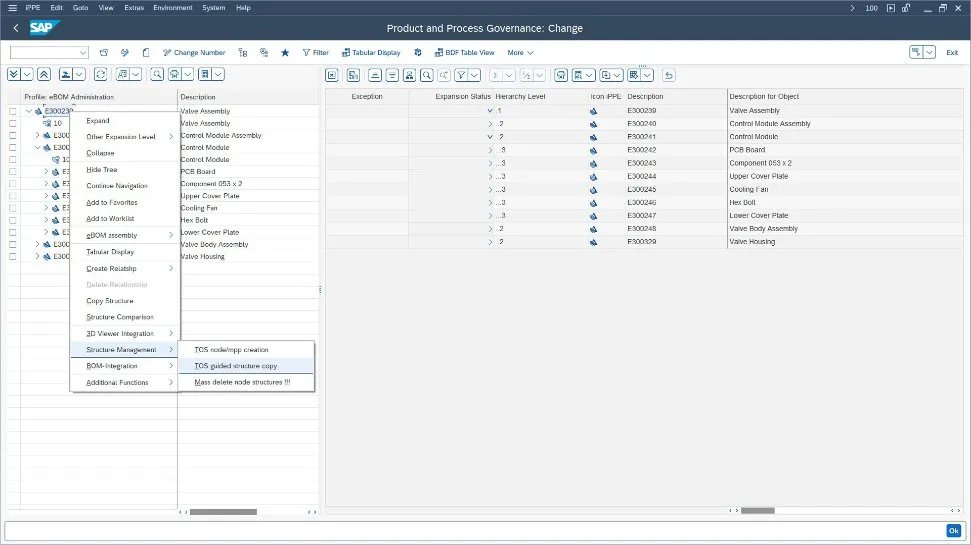 SAP Product and Process Governance by BDF.jpg