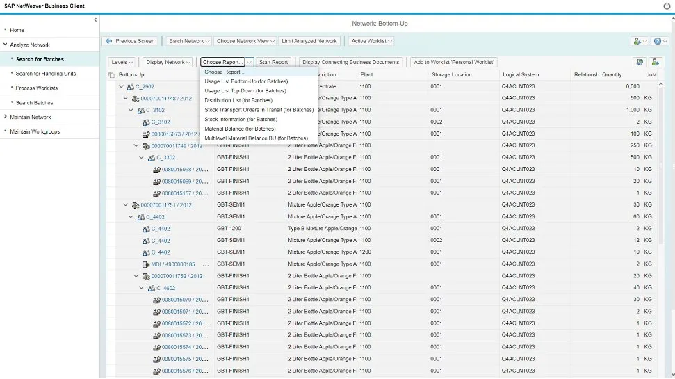 SAP Global Batch Traceability5.jpg