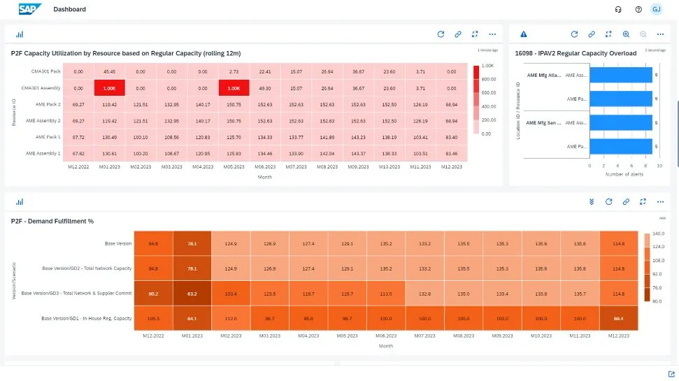SAP Integrated Business Planning.jpg