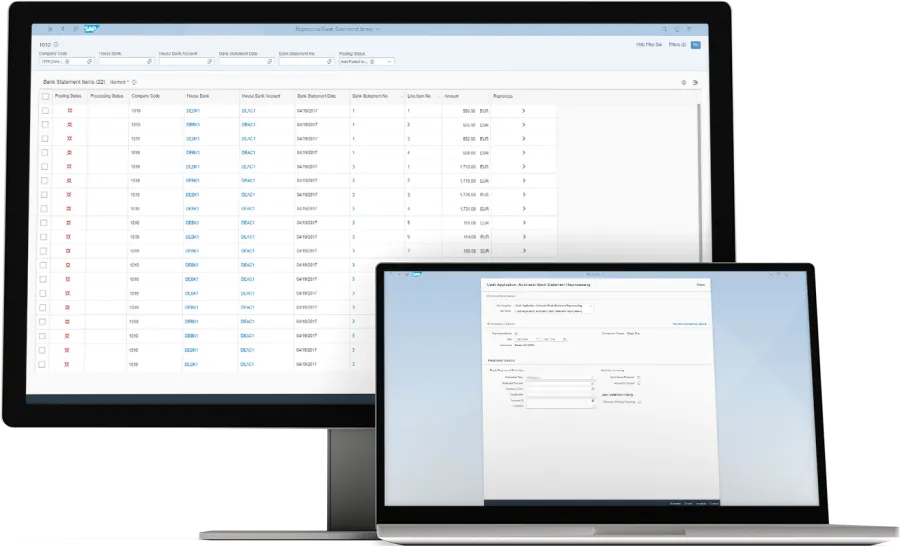 SAP Cash Application2.png