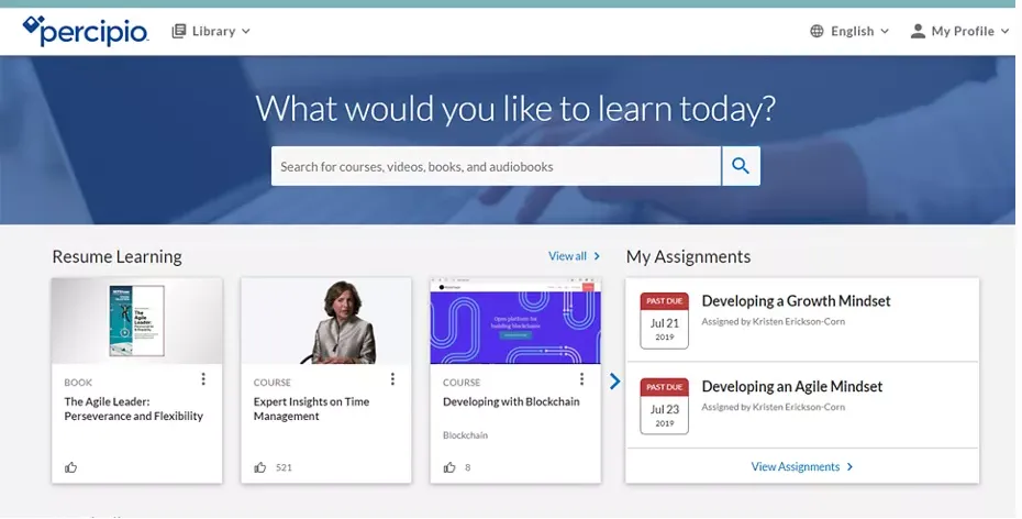 SAP Content Stream by Skillsoft4.png