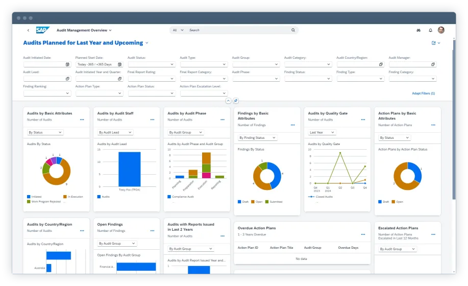 SAP Audit Management2.png