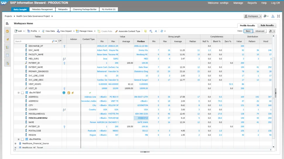 SAP Information Steward.png