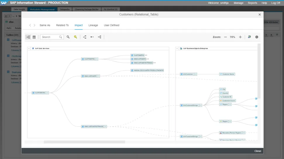SAP Information Steward2.png