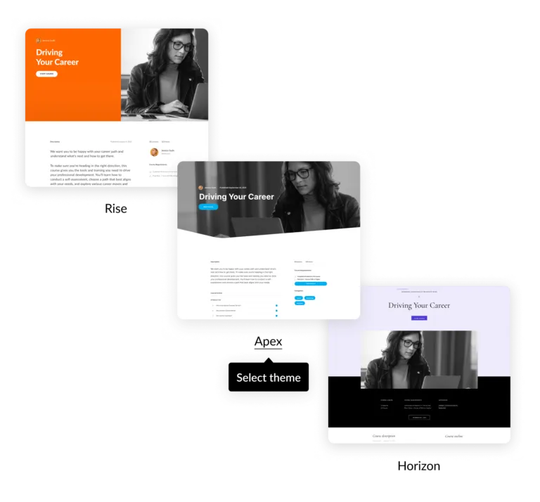 rise-course-theme-options-1-768x714.png